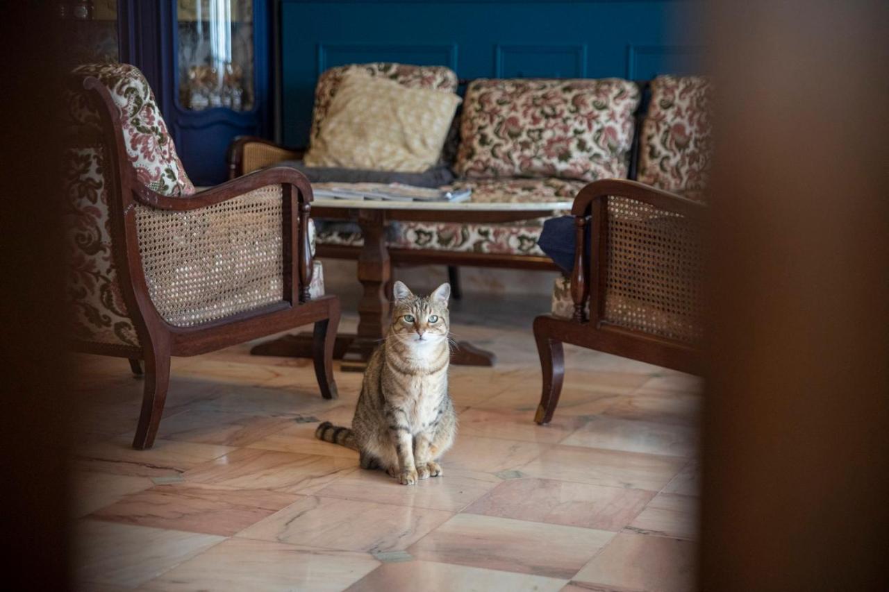 La Bellevue Breville - B&B Eksteriør bilde
